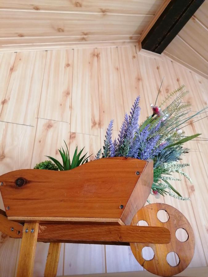 Cozy Attic Studio Брашов Экстерьер фото
