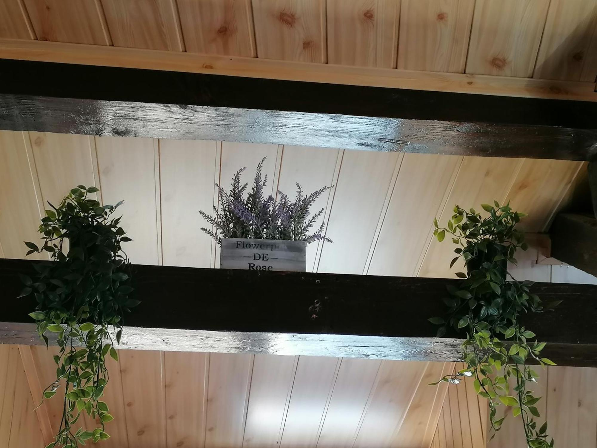 Cozy Attic Studio Брашов Экстерьер фото
